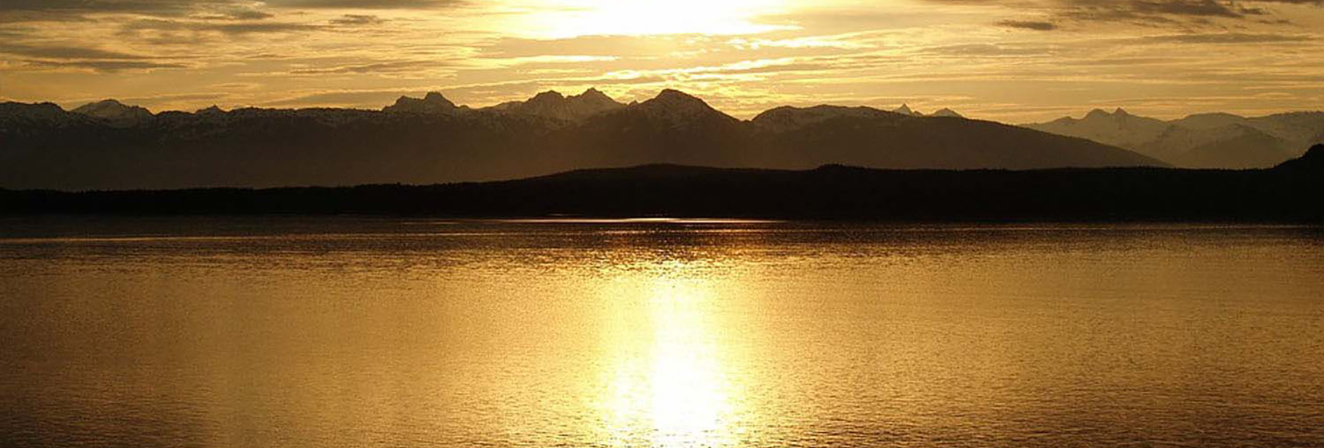 Montana Web Consulting Firm Near Me